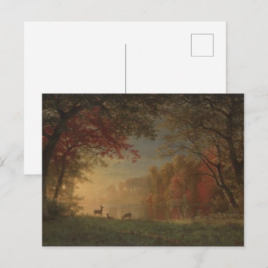 Indian Sunset Deer am See Postkarte (Vorne/Hinten)