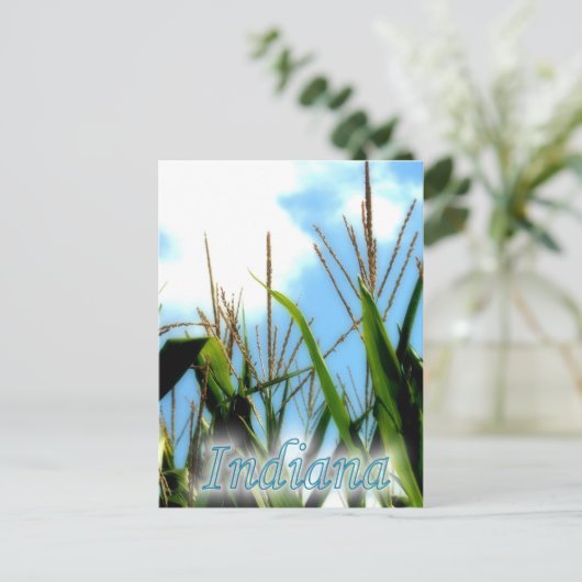 Indiana Corn Postkarte (Stehend Vorderseite)