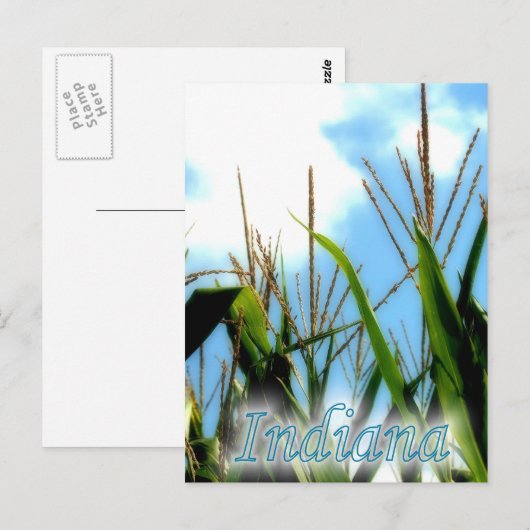 Indiana Corn Postkarte (Vorne/Hinten)
