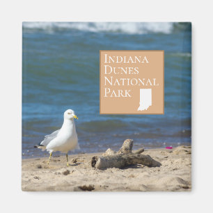Indiana-Dünen-Nationalpark-Geschenk Magnet