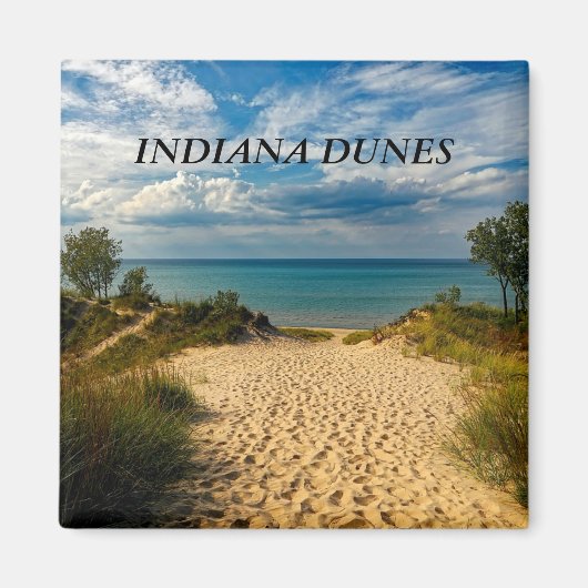 Indiana Dunes, Lake Michigan Magnet (Vorne)