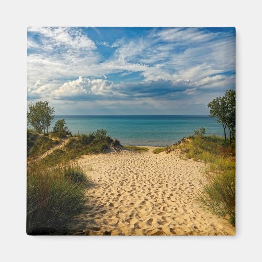 Indiana Dunes, Lake Michigan Magnet (Vorne)