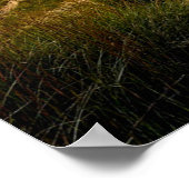 Indiana Dunes, Lake Michigan Poster (Ecke)