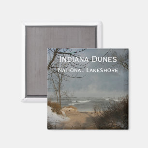 Indiana Dunes, Lake Shore, bewölkt, Winter Magnet