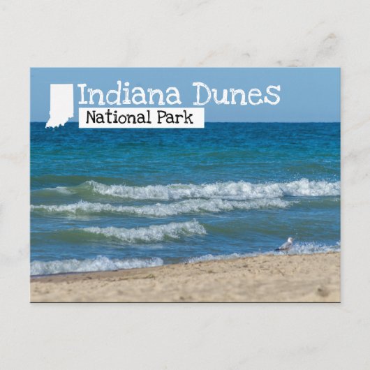 Indiana Dunes National Park Beach Postkarte (Vorderseite)