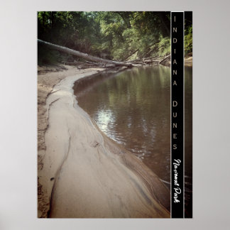 Indiana Dunes Nationalpark Landschaftliches Creek Poster