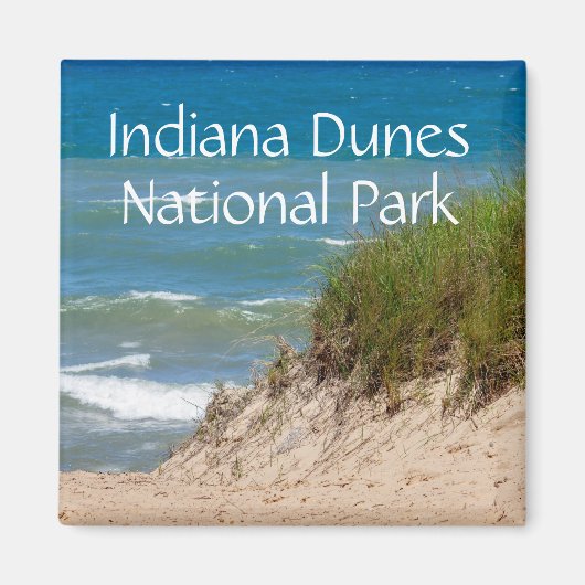 Indiana Dunes Nationalpark Souvenir Magnet (Vorne)