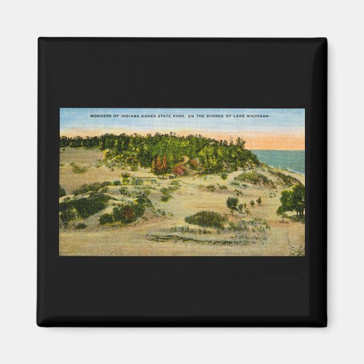 Indiana Dunes Staat Park Lake Michigan, Indiana Magnet (Vorne)