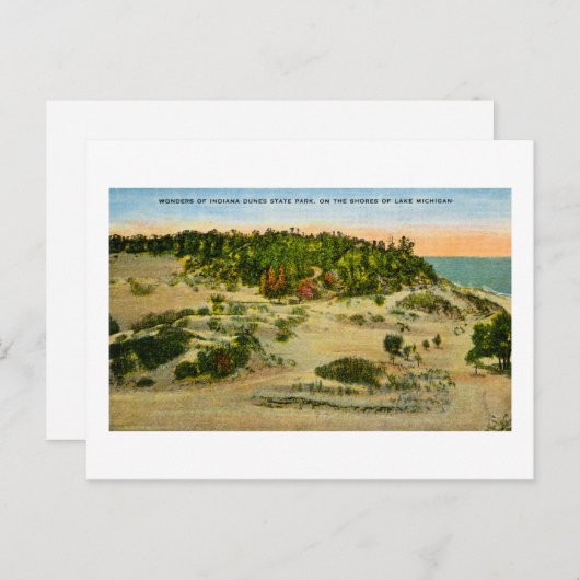 Indiana Dunes Staat Park Lake Michigan, Indiana Postkarte (Vorne/Hinten)