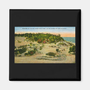 Indiana Dunes State Park Lake Michigan, Indiana Magnet