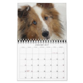 Indiana Dynamite! Aktionskalender Kalender (Jan 2027)