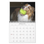 Indiana Dynamite! Aktionskalender Kalender (Mär 2027)