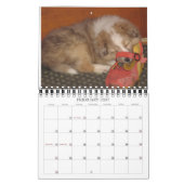 Indiana Dynamite! Aktionskalender Kalender (Feb 2027)