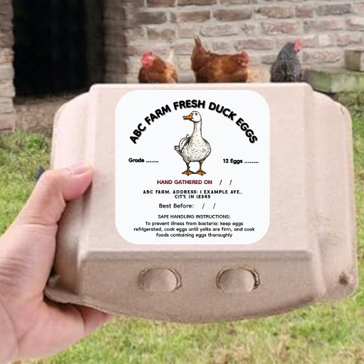 Indiana-Entenetikett Quadratischer Aufkleber