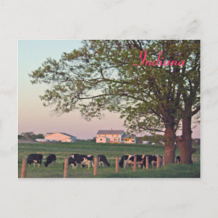 Indiana Farm Postkarte