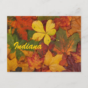 Indiana Herbstlaub Postkarte