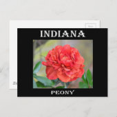 Indiana Peony Postkarte (Vorne/Hinten)