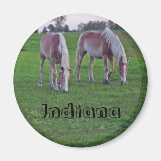 Indiana Pferde Magnet (Vorne)