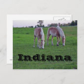 Indiana Postkarte (Vorne/Hinten)