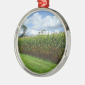 Indiana Silbernes Ornament (Links)