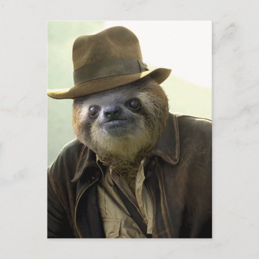 Indiana Sloth Postkarte (Vorderseite)