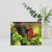 Indiana Staat Bird - Nordlicher Kardinal Postkarte (Stehend Vorderseite)