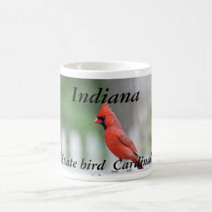 Indiana-Staatsvogel-Foto-Tasse Kaffeetasse