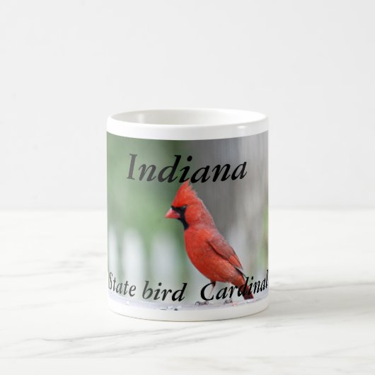 Indiana-Staatsvogel-Foto-Tasse Kaffeetasse (Mittel)