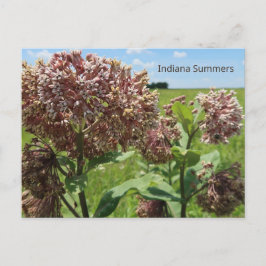 Indiana Summers Postkarte