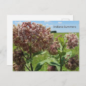 Indiana Summers Postkarte (Vorne/Hinten)