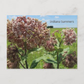 Indiana Summers Postkarte (Vorderseite)