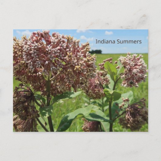Indiana Summers Postkarte (Vorderseite)