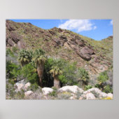 IndianCanyon (8) Poster (Vorne)