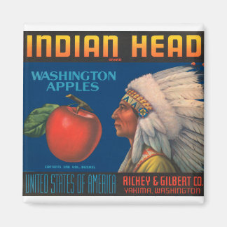 Indianer Magnet