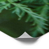 Indianer-Pinsel Poster (Ecke)