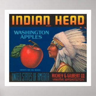 Indianer Poster