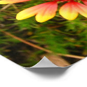 Indianerblanket Poster (Ecke)