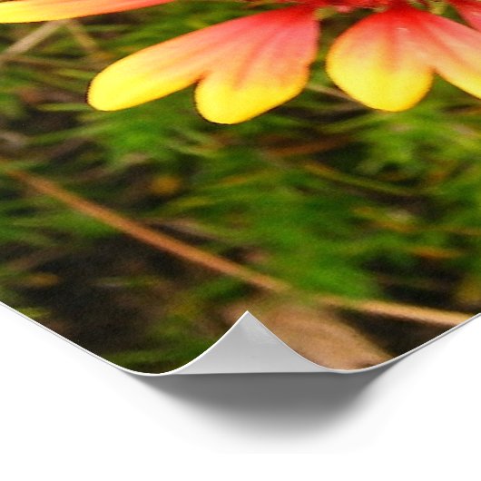 Indianerblanket Poster (Ecke)