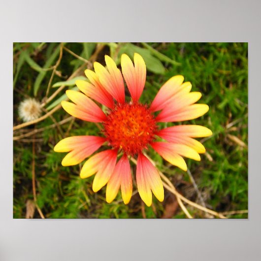 Indianerblanket Poster (Vorne)