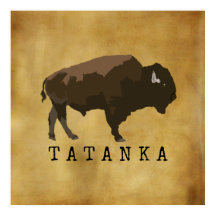 Indianerbüffalo | Bison | Zeichnend Tatanka