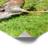 Indianerente Poster (Ecke)