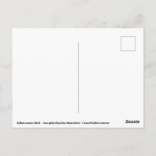 Indianerente Postkarte (Rückseite)