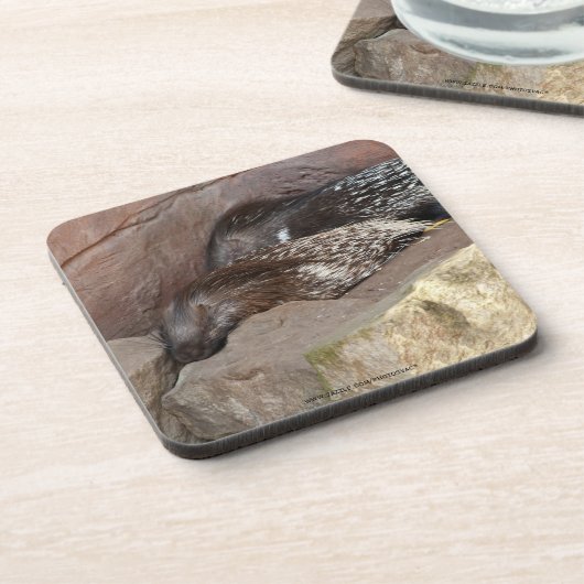 Indianerfisch Getränkeuntersetzer (Linke Seite)