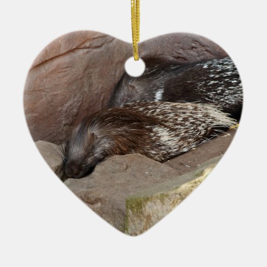 Indianerfisch Keramik Ornament (Vorne)