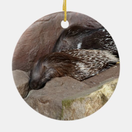 Indianerfisch Keramik Ornament (Hinten)