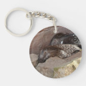 Indianerfisch Schlüsselanhänger (Vorderseite)