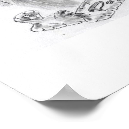 Indianerkopfmöwe Poster (Ecke)