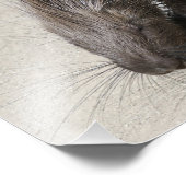 Indianerkreuz Fotodruck (Ecke)