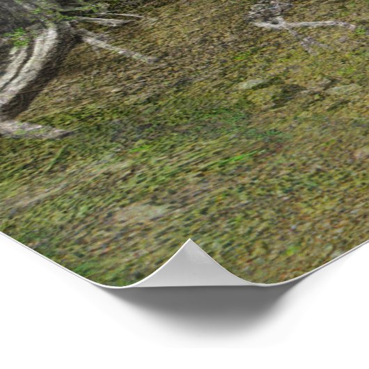 Indianerleben Poster (Ecke)