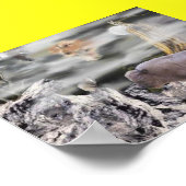 Indianermond Poster (Ecke)